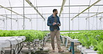 Man, clipboard and checking of plants in greenhouse for harvest, inspection or health of vegetables. Male farmer, manager or hand with document for quality assurance for future growth in agribusiness