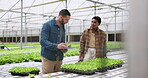 Man, woman and inspection on hydroponic farm for greenhouse plants as agriculture, soil job or research. 
Worker, female person and checklist for lettuce nutritionist, quality control or eco friendly