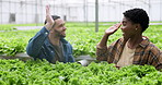 Man, woman and high five for success in agriculture, plants or crops in greenhouse with inspection for harvest. Teamwork, talking and celebration for sustainable development, future or carbon capture
