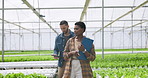 Woman, man and inspection of plants in greenhouse with clipboard, walking and together. Farmer, teamwork and tablet for checking, online and stock by internet for harvest of fresh, crops or produce