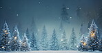 Winter pine trees with snowfall. Holiday celebration festive season backdrop. Sparkle white bokeh with light and movement. Frosty evening landscape for magic fairytale wallpaper.