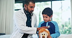 Doctor, boy child and stethoscope in hospital with lion toys for healthcare, assessment and check breathing. Medic, pediatrician and helping kid with lungs, cardiology and wellness on bed in clinic