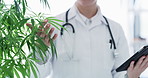 Cannabis has it's place in the medical world
