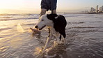 A water playground for my poochy pal