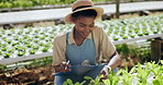 Woman, farming inspection and greenhouse plants for agriculture, sustainability and growth or quality control checklist. Young african farmer with clipboard, writing notes and vegetables production