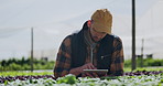 Typing, farming and man with tablet, sustainability and eco friendly with research and check product for harvest. Quality control, guy and farmer with technology and fresh vegetables with agriculture