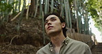 Forest, thinking or Asian man in nature for journey on holiday, vacation for freedom or wellness. Face, travel and Japanese male person with ideas for calm, peace and inspiration to relax in park