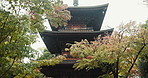 Shinto temple, trees and outdoor on landscape, rain or low angle for architecture, faith or Japanese religion. Building, shrine or place of worship, peace or calm in winter, forest or nature in Tokyo