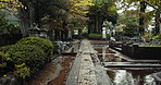 Japan, trees and path to Shinto temple with nature, statue and rain for shrine, place of worship and prayer. Architecture, buildings and traditional location for faith, religion and ritual in Tokyo