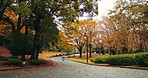 Nature, walking and Japanese woman in a park for exploring, journey or adventure on holiday. Pathway, field and back of female person in kimono commuting in an outdoor garden in Tokyo for Autumn.