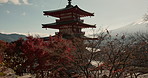 Shinto temple, building and trees in nature for religion, faith and landscape with mountains by sky background. Traditional architecture, praise and worship in environment for culture, peace and calm