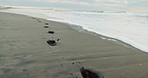 Ocean, footprints and water waves at the beach for vacation, holiday or weekend trip paradise. Landscape, sand and horizon for outdoor travel and adventure by sea shore with foam on tropical island.
