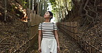 Woman, walking and thinking in forest for travel adventure, hiking and peace with plants, trees and ecology in nature. Japanese tourist wonder on path in bamboo jungle, environment or woods of garden