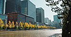 Cityscape, buildings and river on landscape, skyline and trees on sidewalk for sustainability in metro. Skyscraper, city and nature with water, lake and environment with urban expansion in Japan