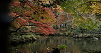 Hiking, lake and autumn forest in Japan with calm water, leaves and morning travel in nature. Woods, landscape and people walking at river in Asian countryside with peace, zen and natural journey.