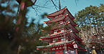 Japanese temple, building in nature with trees and architecture, religion and tradition for travel and environment. Traditional real estate, faith with culture and landmark, tourism and Buddhism