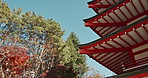 Nature, tree and roof of Japanese temple, environment and landscape, architecture with travel and leaves. Garden in Japan, autumn and orange foliage with traditional and pagoda building outdoor