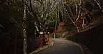 Dark, night and a path of a Japanese street for walking, nature or travel. Evening, landscape and an empty road in a natural environment, forest or woods in Japan for commute, scenery or lighting