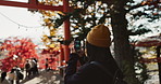 Phone, travel and Japanese woman in nature for holiday, vacation and adventure in Japan. Happy, forest and person take picture on smartphone by trees for social media post, memories and online blog