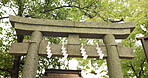 Torii gate, trees or nature in japan for worship, holy or prayer location for peace in forest. Asian architecture, culture and ancient symbol with religion, god and gateway of sacred to shinto shrine