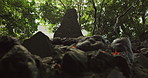 Stone, monument and rocks in Japanese forest with zen, natural landscape and carving in garden. Nature, trees and sign in woods with Asian environment, sunshine and outdoor shrine in park in Tokyo.