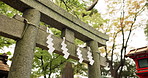 Torii gate, shide and temple in forest in Japan with zen, spiritual history and monument in garden. Nature, trees and Japanese architecture woods with Asian culture, sunshine and stone shrine in park