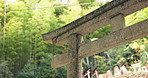 Nature, forest and stone Torii gate in Kyoto with peace, mindfulness and travel with spiritual history. Architecture, Japanese culture and Shinto shrine in woods with sculpture, memorial and monument