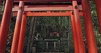 Nature, forest and Torii gate monument in Kyoto with peace, mindfulness and travel with spiritual history. Architecture, Japanese culture and Shinto shrine in woods with sculpture, memorial and trees