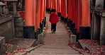 Man on path walking in Torii gate in Kyoto with peace, mindfulness and travel with spiritual history. Architecture, Japanese culture and person in orange tunnel at Shinto shrine in forest from back.