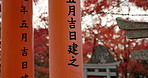 Japan, arch and red torii gates of shrine for religion, sacred and spiritual entrance in Kyoto outdoor. Travel, writing and pillars in a garden with religious and Japanese building on holiday