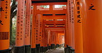 Japan, arch path and red gate of shrine for religion, sacred and spiritual entrance in Kyoto outdoor. Travel, writing and torii pillars in a garden with religious and Japanese building on holiday