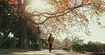 Woman, walk and path in park, nature or autumn by trees, lens flare or orange leaves for travel on holiday. Girl, person and freedom on vacation, bag and sidewalk in environment for sunshine in Tokyo