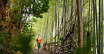 Man, walk and bamboo forest with nature, adventure or hiking by trees, thinking or ideas on journey. Japanese person, outdoor or trekking for peace, mindfulness or calm environment by plants in Kyoto