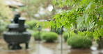 Nature, rain and a garden in Japan for culture, zen or winter in a natural environment. Calm, park and architecture, landscape or garden design of a Japanese home or scenic landmark with ecology
