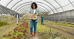 Woman, face and vegetable or box in agriculture for sustainable food, farming or gardening. Female person, greenhouse and carrots or countryside environment for supply chain, production or nutrition