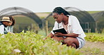Tablet, inspection and black woman in greenhouse for farming with vegetables, leaves or greenery. Quality check, digital technology and African female farmer doing research on produce in environment.