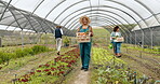 Woman, face and vegetable or box for gardening teamwork or sustainable, farm or greenhouse. Mature person, worker and carrots or countryside food environment for agriculture, production or nutrition