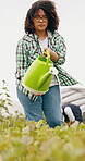 Woman, watering can and farming vegetables for agriculture growth, small business or eco friendly. Female person, plants and quality assurance at greenhouse for progress or gardening, lettuce or food