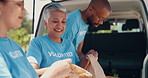 Volunteer, donation and people with food package for charity event, teamwork and community programme. Collaboration, volunteering and men and women with van for parcel, bags and grocery distribution