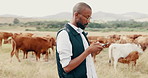 Phone, cattle and black man in field texting online for sustainability or agriculture in countryside. African farmer, land tips or cow farming in small business for dairy, meat or food production
