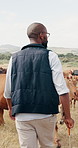 Farming, cattle and black man with field, walking with sustainability and agriculture in African countryside. Nature, animals and cow farmer with small business in food or dairy production from back
