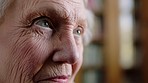 Knowledge, eyes and wrinkles of elderly woman face thinking of a memory or reminiscing of past in a library bokeh. Retirement senior woman looking out the window feeling content, calm and at peace