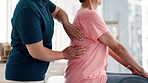 Physical therapy, back massage and physiotherapist with senior woman in medical office at clinic. Rehabilitation, patient and closeup of chiropractor helping elderly female person with muscle pain.