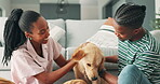 Love, happy couple and petting of dog in living room, sofa and care for domestic animal in home. Black people, labrador and playing with cute pet in lounge, touch and bonding together to relax indoor