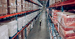 Shipping storage and shelves with warehouse person counting stock for logistics, stock or inspection. Delivery, supply chain and backlog with post office employee in plant for cargo distribution