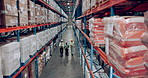 Shipping storage and delivery with warehouse people walking together for logistics, stock or inspection. Industry, supply chain and shelves with employee team working in plant for cargo distribution