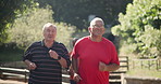 Fitness, nature and elderly men running in outdoor park for race, competition or marathon training. Sports, exercise and group of senior male people with cardio workout in field or garden for health.