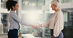 Happy, business women and handshake with ceo for introduction, welcome or greeting on lens flare. Manager, shaking hands and deal for partnership, agreement or opportunity for collaboration in office