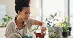 Gardening, woman and home with seed, soil and potting in a living room for plants to grow. Calm, green and eco friendly pots of a relax African female person in a house with leaf, fertilizer and care