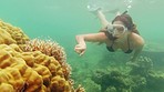 Snorkeling, swimming and a woman in the ocean for travel, holiday and scuba diving adventure. Coral reef, nature and a girl under water in the sea for traveling, vacation and a swim in summer